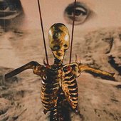 skeleton