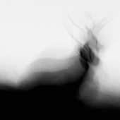 Avatar di scapes