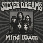 SILVER DREAMS - Mind Bloom.JPG