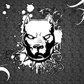 Avatar for CXMANDX