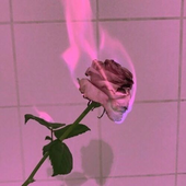 violetdreamsss 的头像