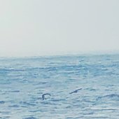 Ocean View