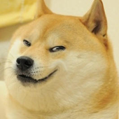 dogejustice 的头像