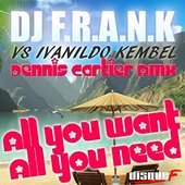 All You Want, All You Need (Dennis Cartier Remix) - Single