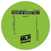 Sound of House, Vol. 6