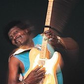 Albert Collins_4.jpg