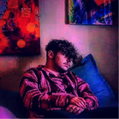 pillow1x