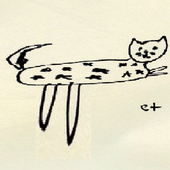 THE_WOMBATSS 的头像