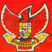 Logo Cardenales 01.jpg