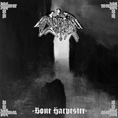 Bone Harvester
