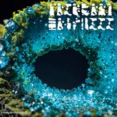 PRIMARY FOREST 03