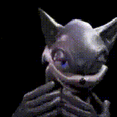Avatar for raphaffou