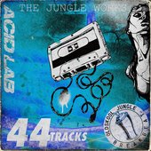 The Jungle Works (Part 1)