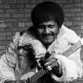 Albert Collins_11.jpg