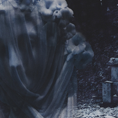 Image1.png
