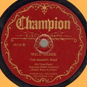Ted Gossett's Band – Wild Geese.jpg