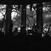 The National (Live)