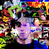 Avatar for tLitFpunk