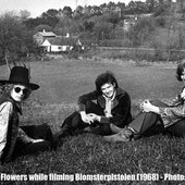 Young Flowers.jpg