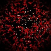 Hydrophobic