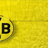 BVB1