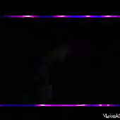 1000002005.gif