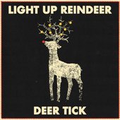 Light Up Reindeer