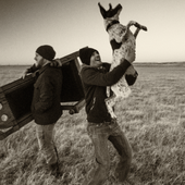 2015-02-08-Dauphin-Promo-Shoot-379-Edit.png