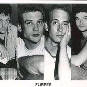 Flipper Band