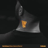 No Echoes (Mees Salomé Remix)