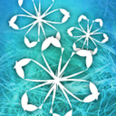 Avatar for IGnoTon