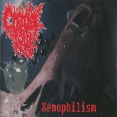 Xenophilism