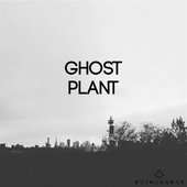 Ghost Plant