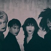 112242-vulgar-venus-group-photo.jpg