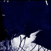 Rats In The Thorax