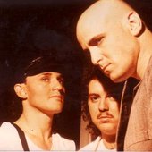 Schultz, Tal Bergman, David Gervai, Yossi Fine
