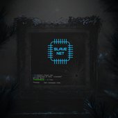SlaveNet_Single