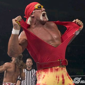 Hulk_Hogan 的头像