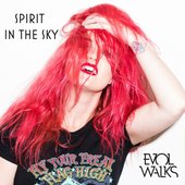 Spirit in the Sky
