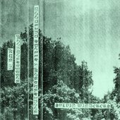 Sylvan Wanderers