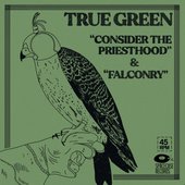 Consider the Priesthood/Falconry