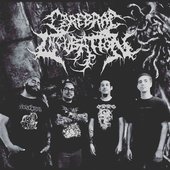 Cerebral Incubation 2016