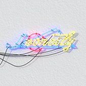 58579409_2019464488164427_7657316275130990592_n.jpg