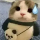 stizwlix 的头像