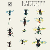 Barrett / 1970 - Vinyl.