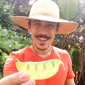 jaumrique 的头像