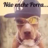 Pedromusicas_ 的头像
