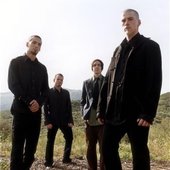 Taproot