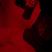 N3z8 的头像