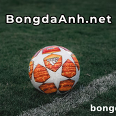 Avatar for bongdaanhnet